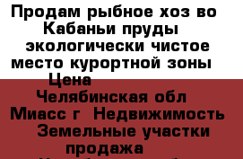 Продам рыбное хоз-во “Кабаньи пруды“- экологически чистое место курортной зоны › Цена ­ 15 000 000 - Челябинская обл., Миасс г. Недвижимость » Земельные участки продажа   . Челябинская обл.